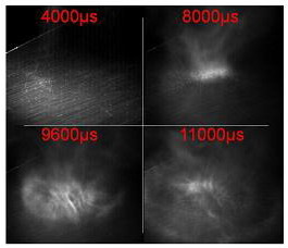 Phase shift from excitation and emission signals